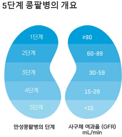 만성신부전 5단계