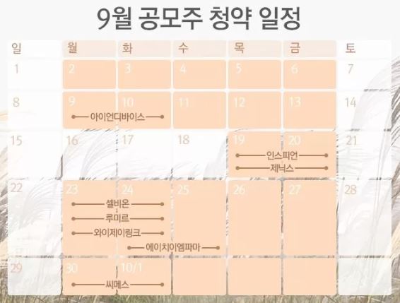 9월 공모주 청약일정